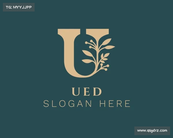 认识ued